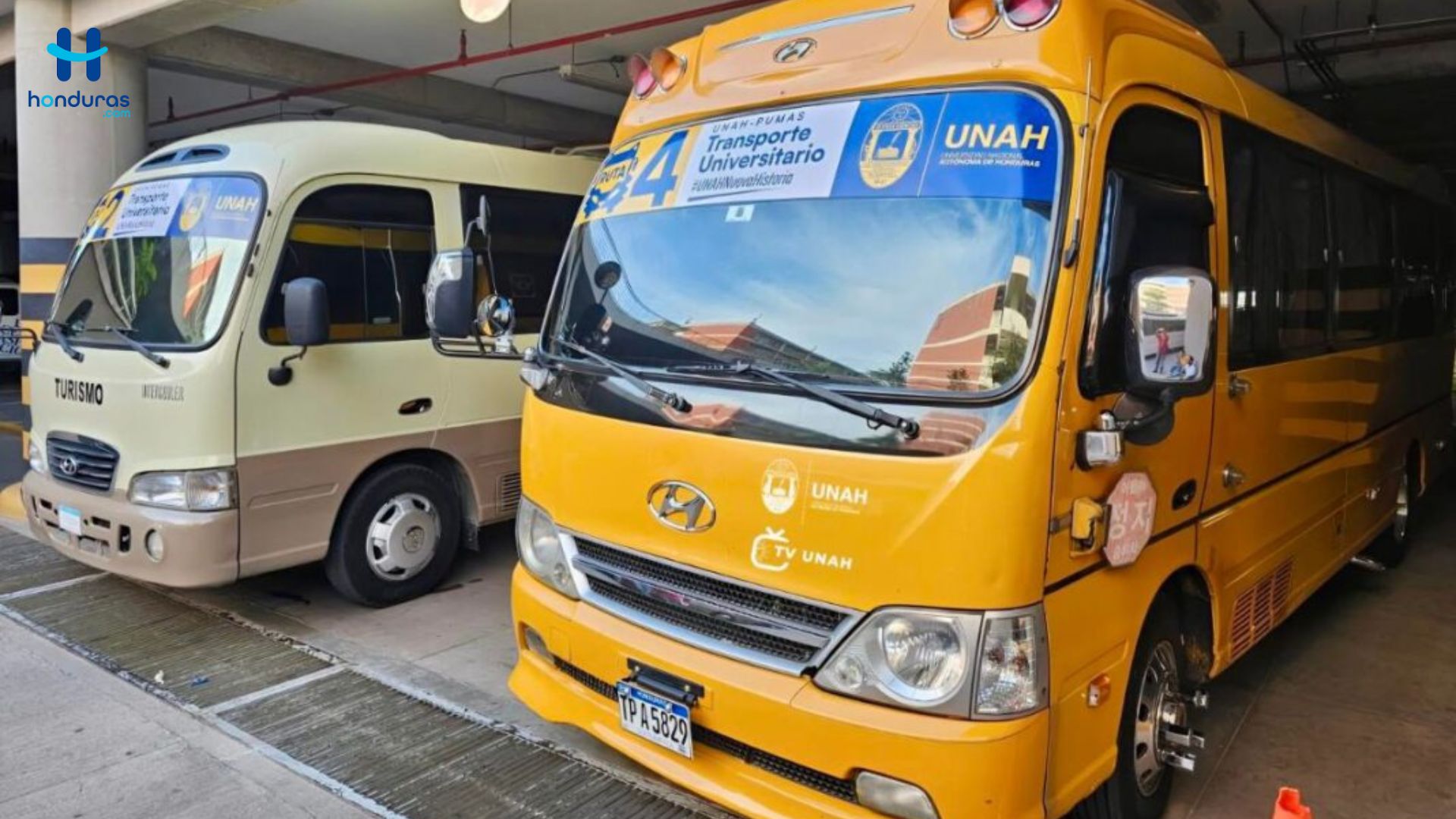 Habrá 60 buses más para el transporte Gratis en la capital