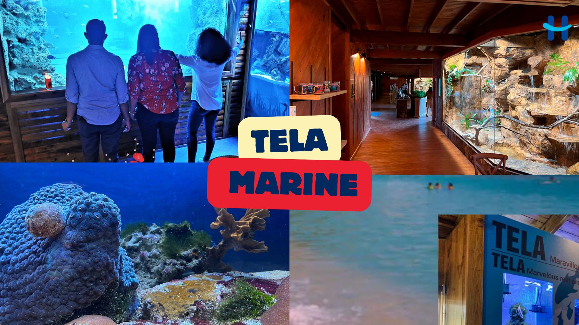 Arrecife de coral en Honduras impulsa el turismo sostenible y atrae 230 mil visitantes cada año