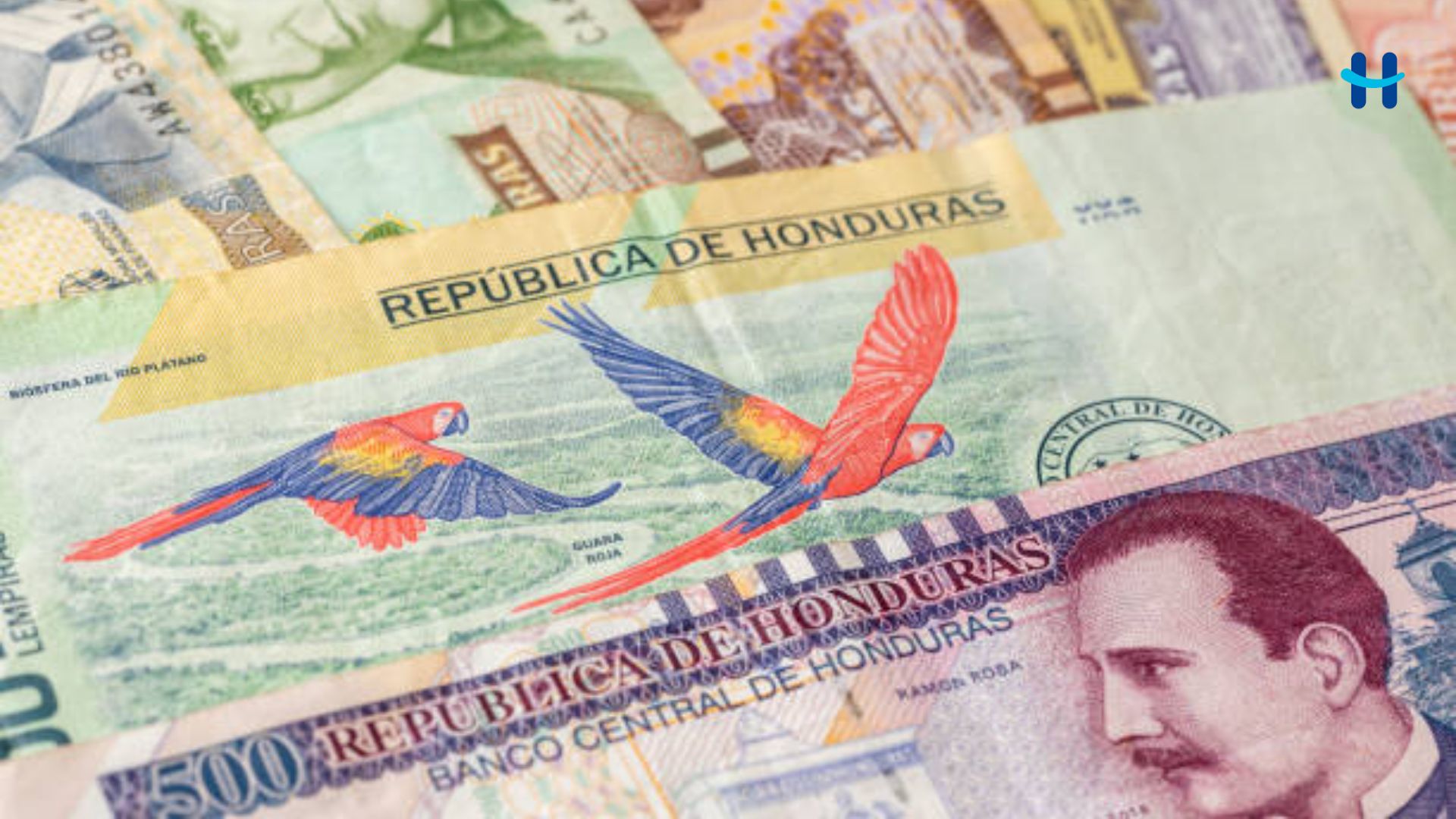 Cuánto debe ganar una persona En Honduras para no pagar ISR: guía actualizada para 2026