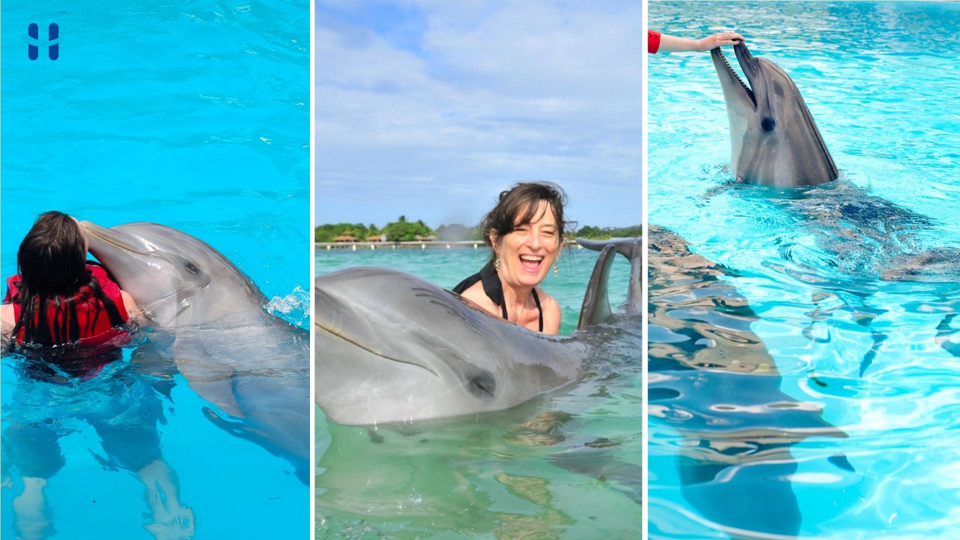 Nadar con delfines en Roatán: cómo vivir esta experiencia en Honduras
