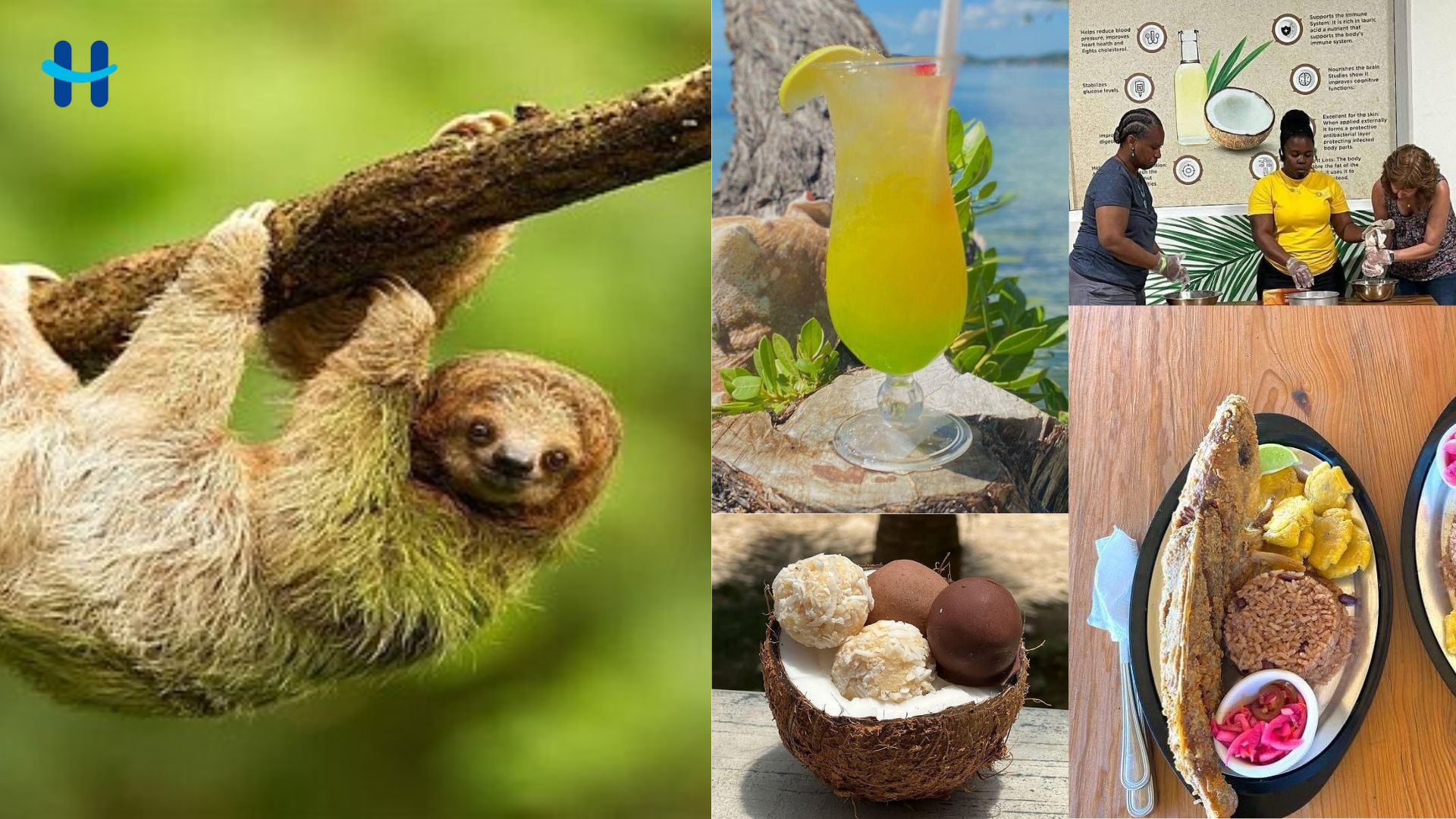 Roatán Coconut Heritage: naturaleza y relax en el Caribe
