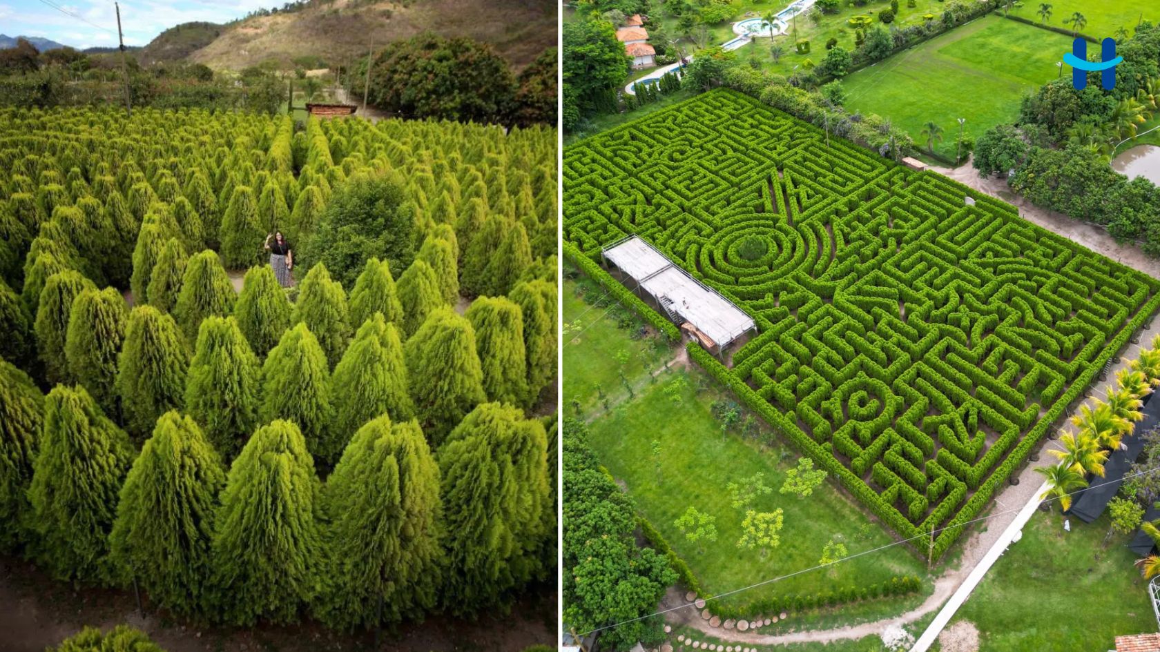 Laberinto de Cipreses en Comayagua: la experiencia que pocos conocen