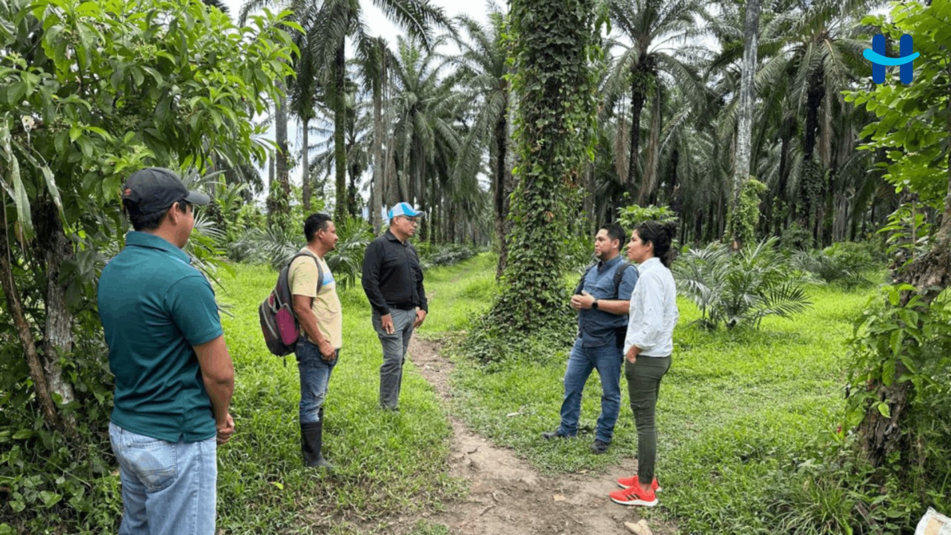Honduras impulsa producción sostenible de aceite de palma