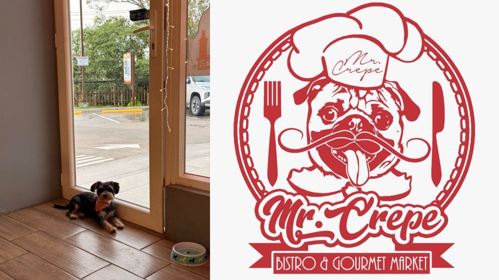 Cafeterias pet Frendly en tegucigalpa 