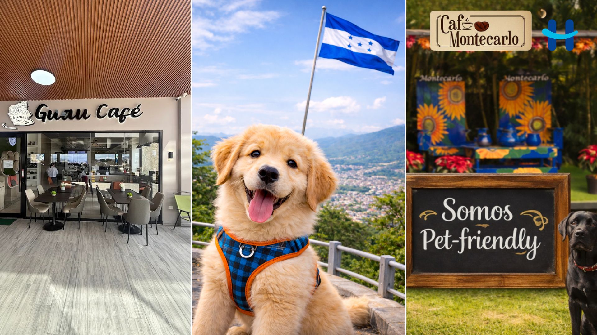 5 Cafeterías Pet Frendly en Tegucigalpa Para ir con tu mascota
