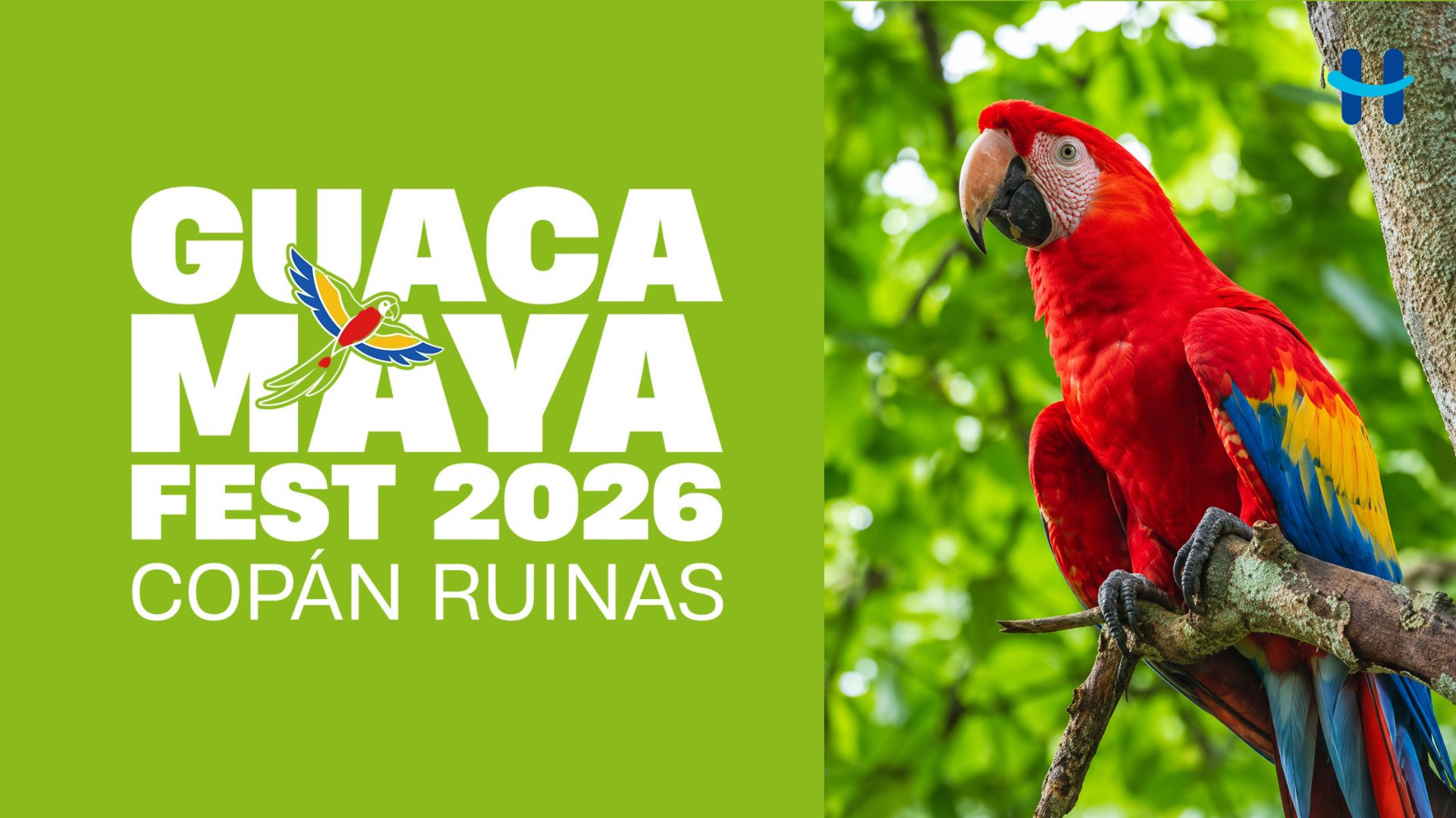 Copán Ruinas celebrará el Guacamaya Fest 2026 con liberación de 12 guacamayas