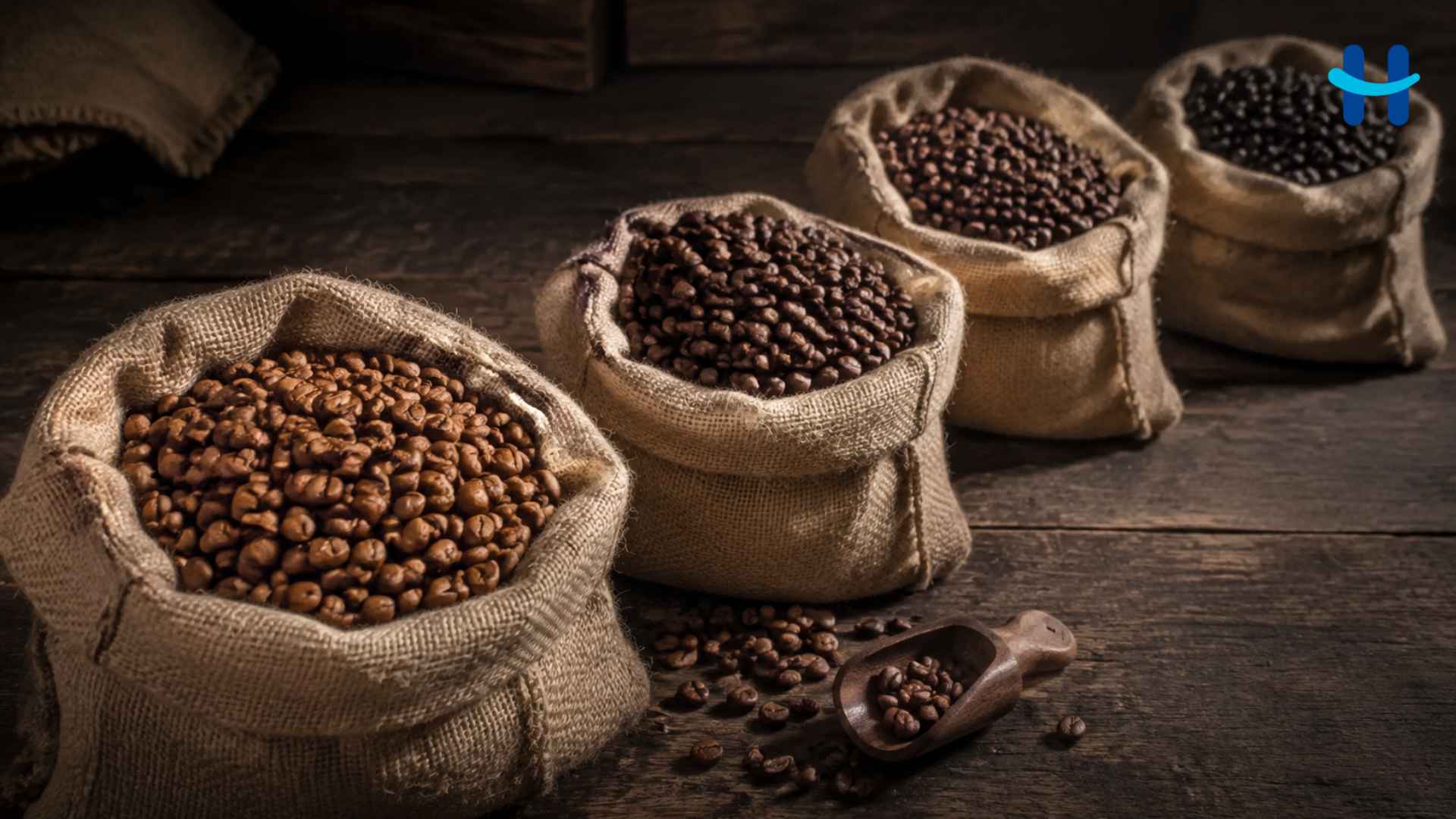 Café hondureño supera meta de exportación en la cosecha 2025-2026