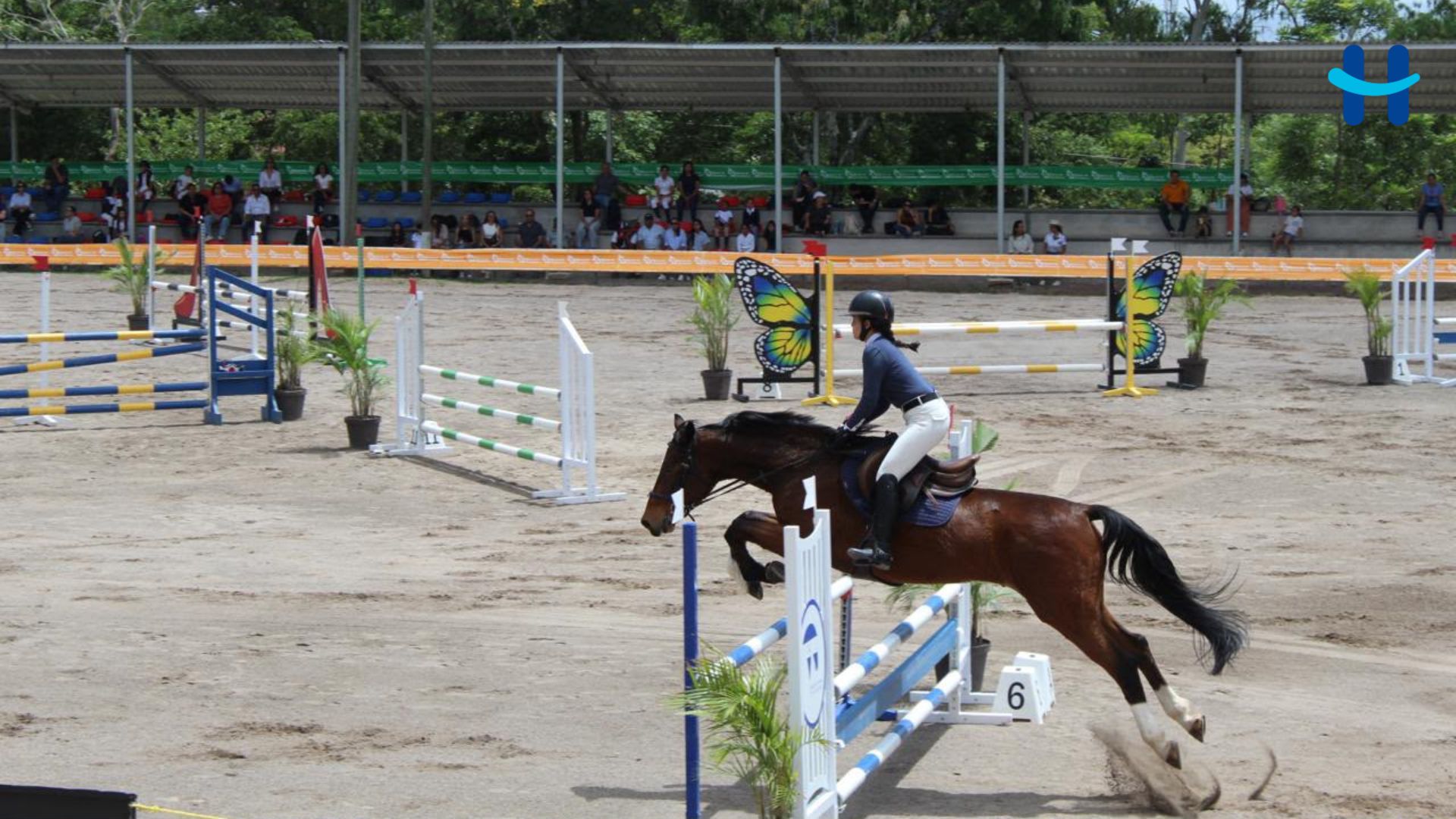 Olivia Cosenza gana dos categorías ecuestres en Honduras