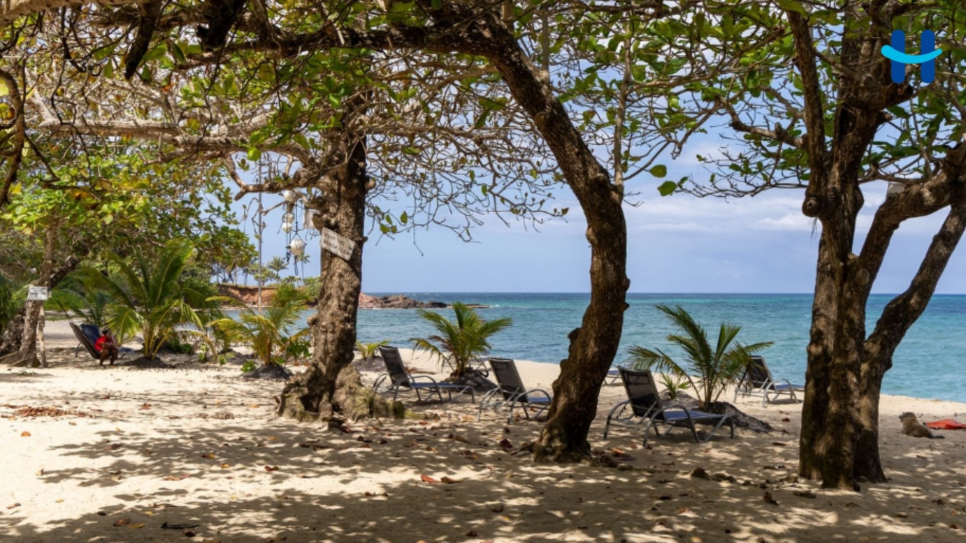 Camp Bay, la playa tranquila de Roatán que pocos conocen