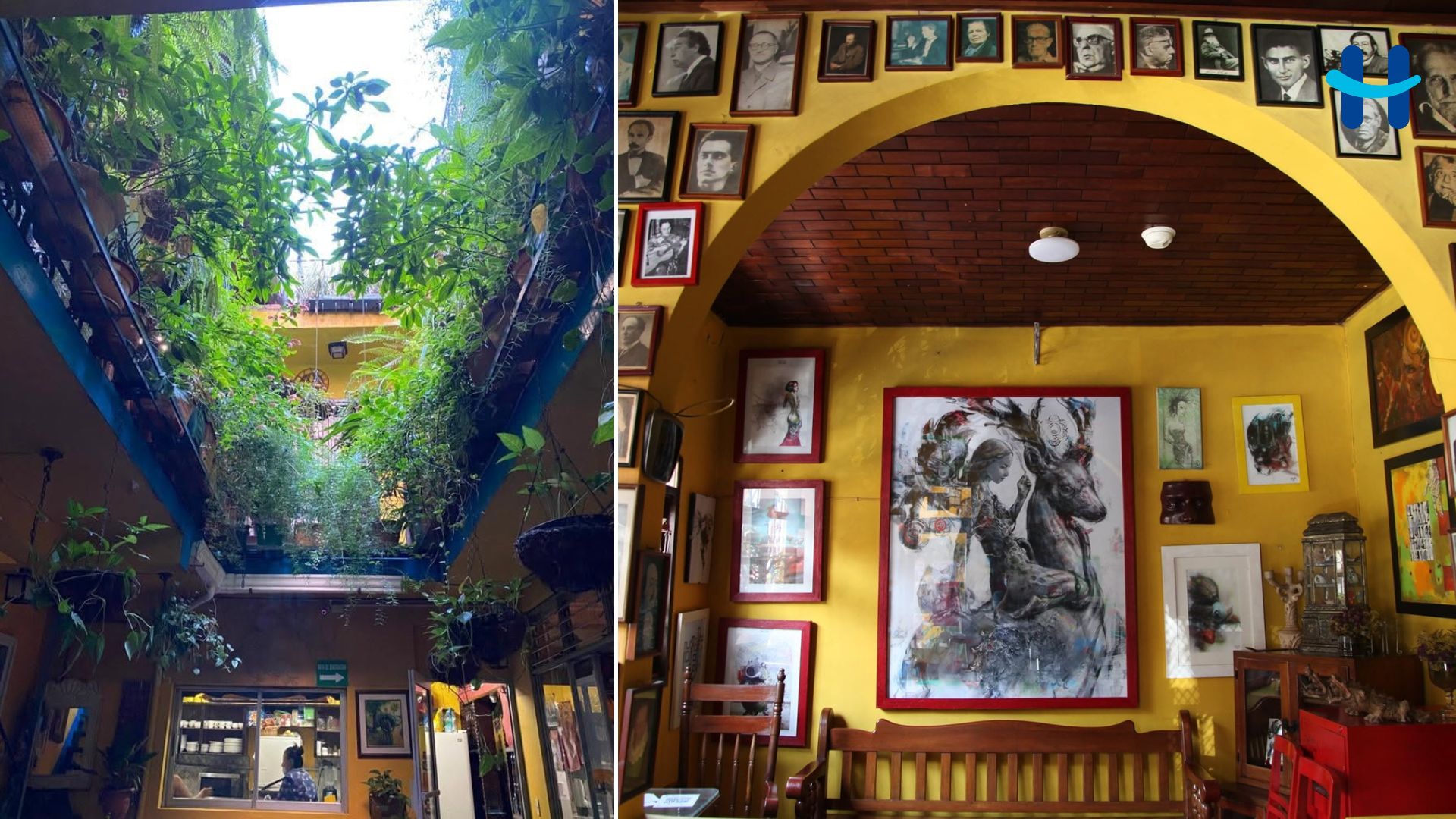 Café Paradiso: libros, arte y memoria cultural en Tegucigalpa