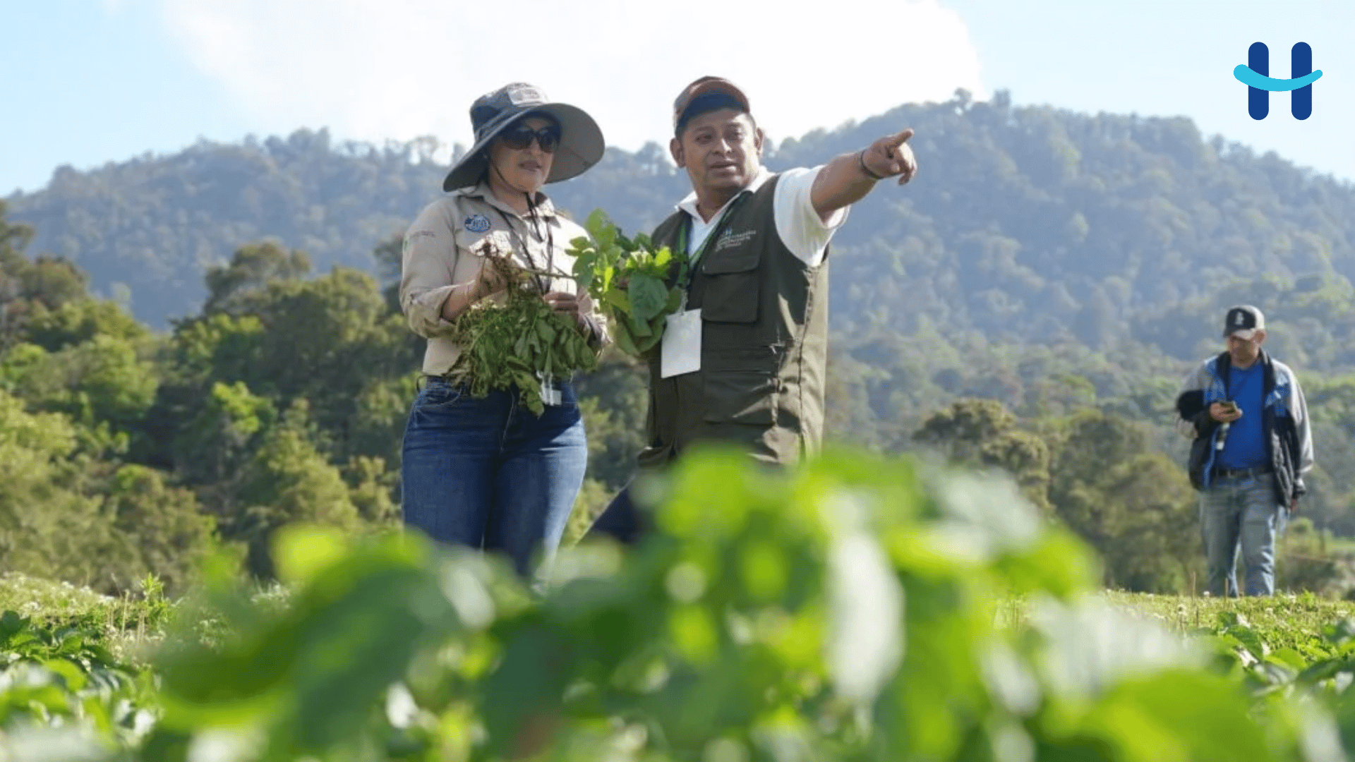 Honduras reúne a expertos para llevar innovación al campo
