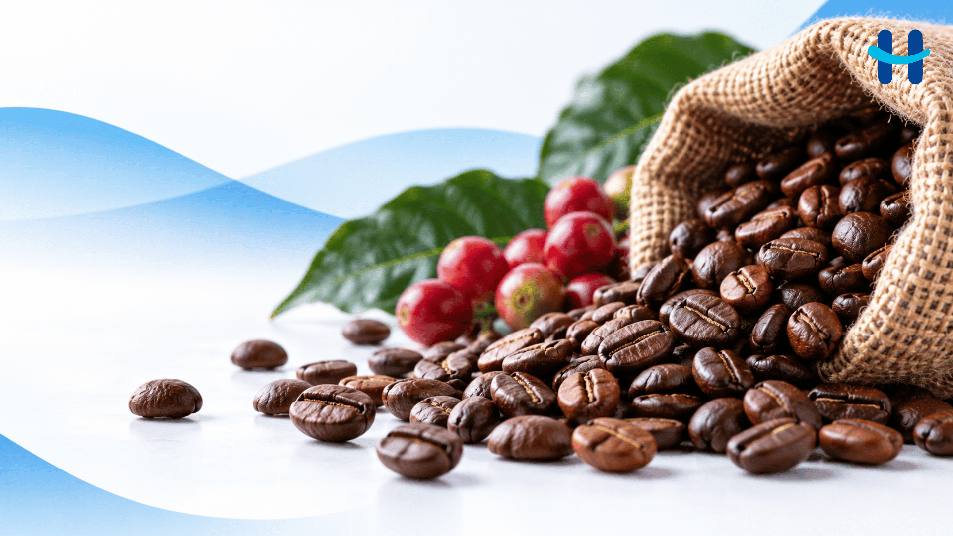 Honduras cierra año cafetalero con US$2,285 millones en divisas