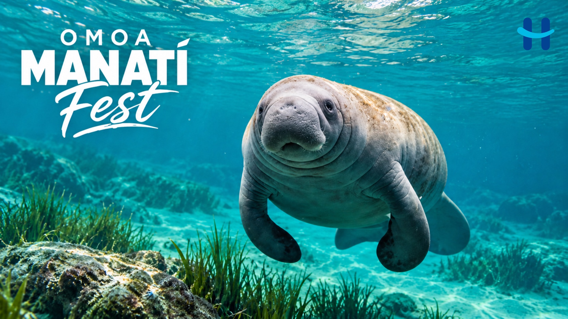Omoa celebra su primer Manatí Fest entre cultura y naturaleza